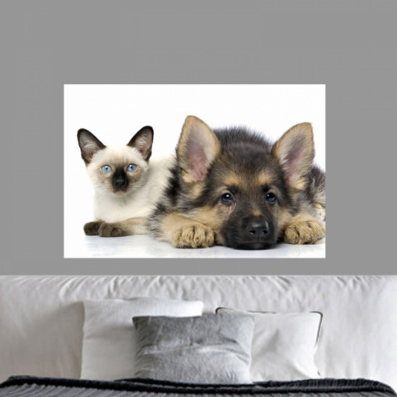 Πίνακας σε καμβά με Ζώα με σκύλο και γάτα